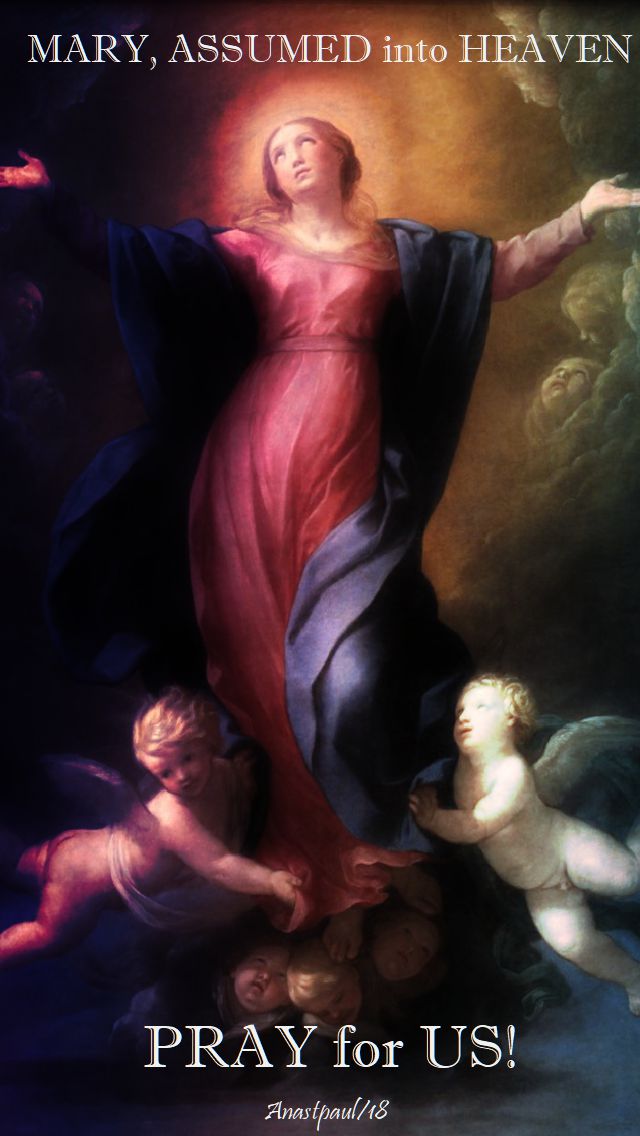 mary assumed into heaven pray for us - 19 aug 2018