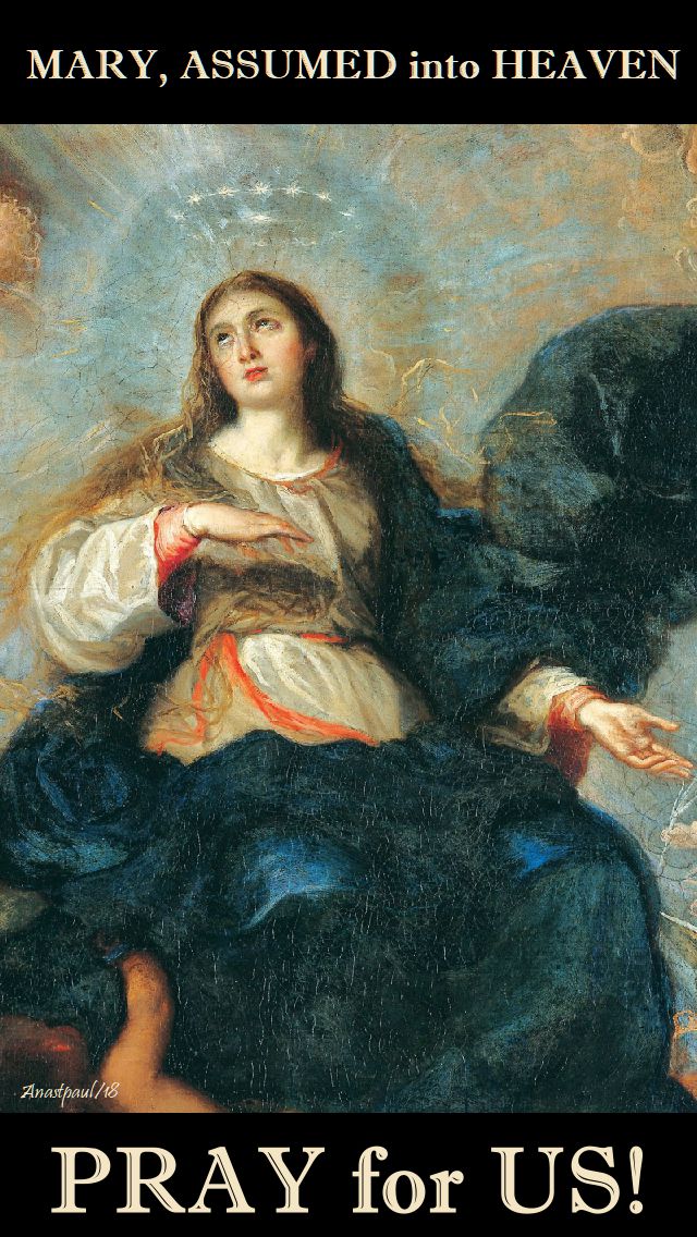 mary assumed into heaven - pray for us - 19 aug 2018