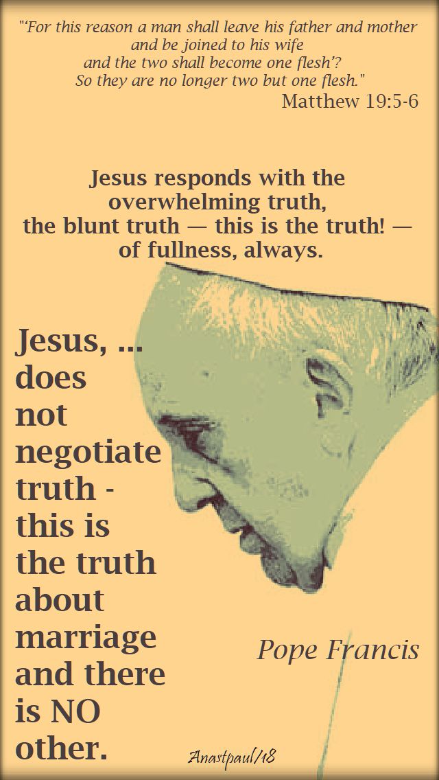 matthew 19 5 for this reason a man leaves - jesus responds with the truth - pope francis - 17 aug 2018