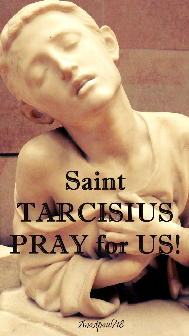 st tarcisius pray for us - 15 aug 2018