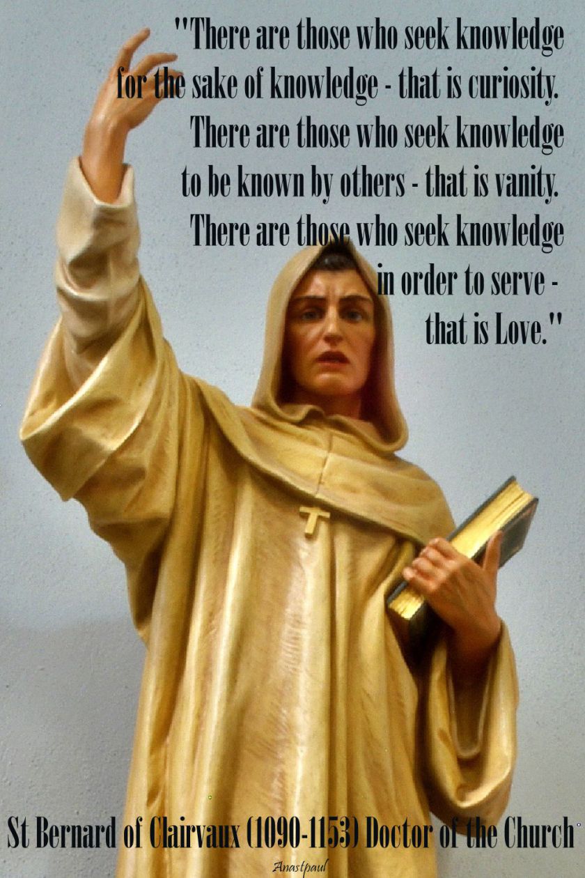 there-are-those-who-seek-knowledge-st-bernard-20 aug 2017