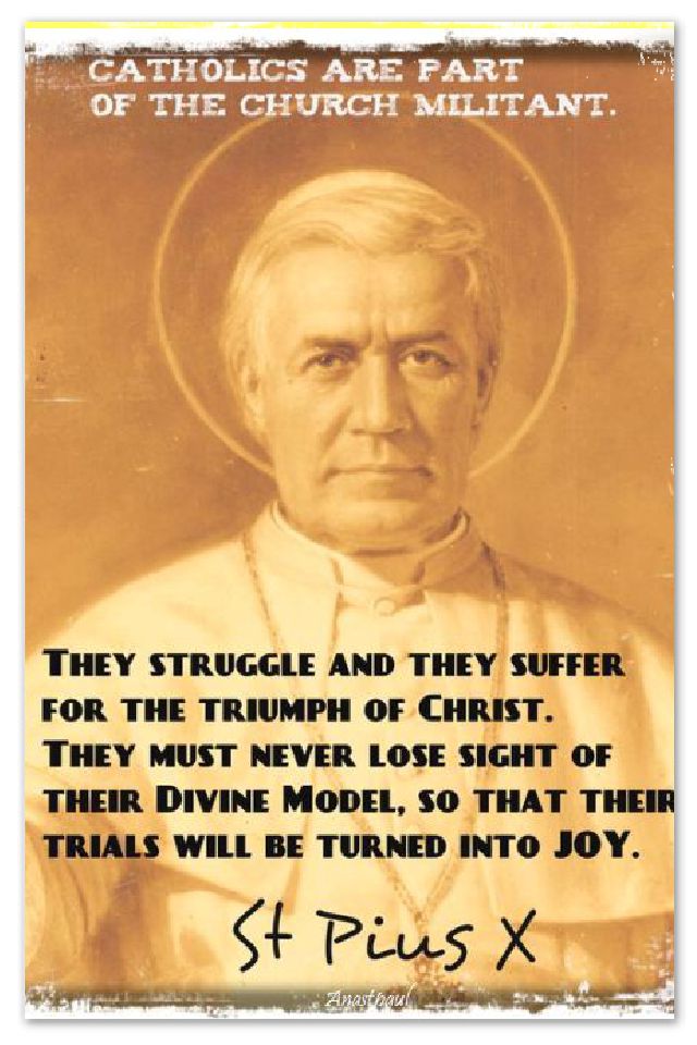 they-struggle-and-they-suffer-st-pope-pius-x-21 aug 2017