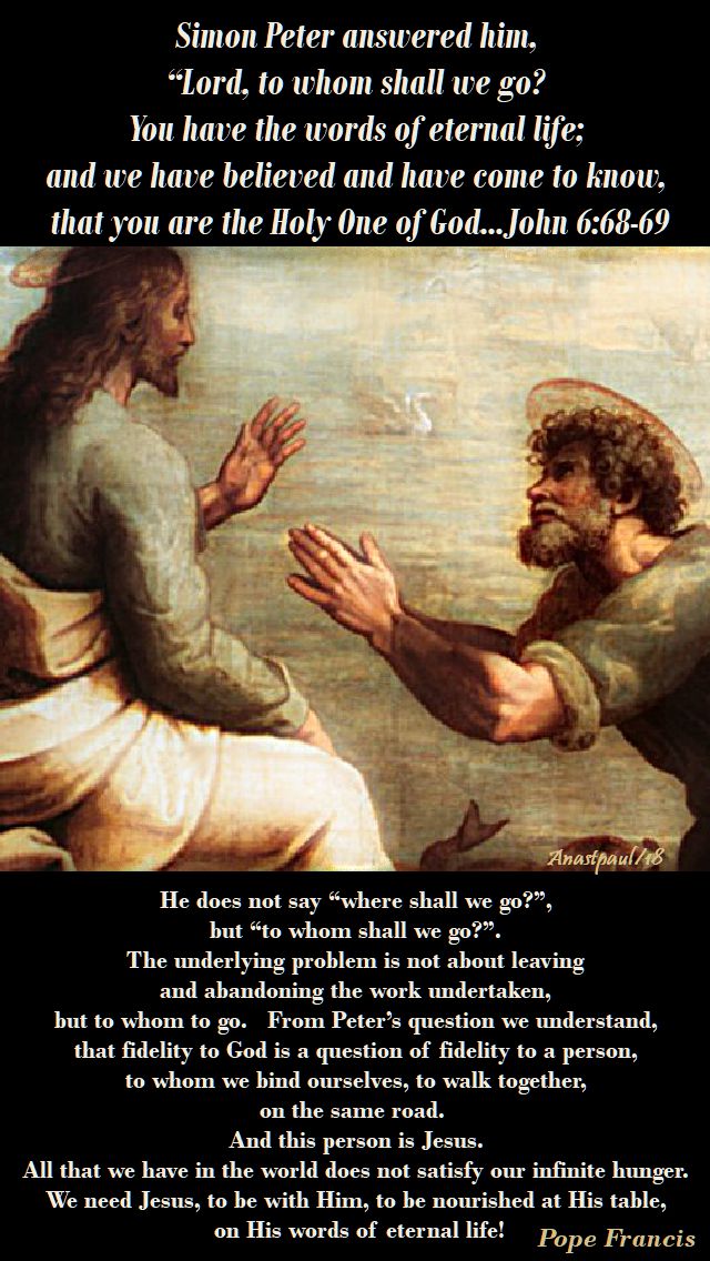 to whom shall we go - john 6 68-69 - he does not say where shall we go - pope francis - 26 aug 2018