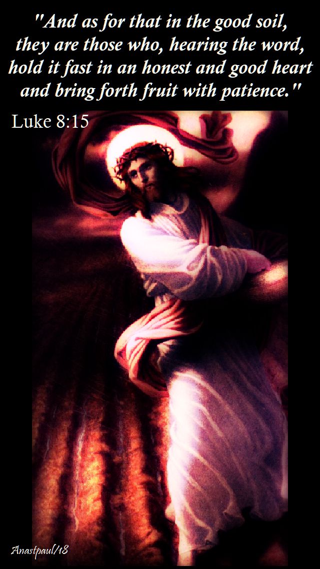 and as for that in the good soil - luke 8 15 - 22 sept 2018