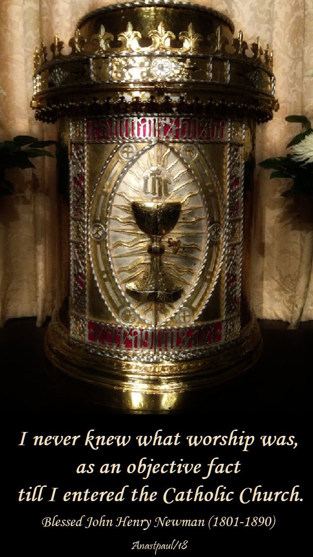 i never knew what worship was - bl jh newman - 30 sept 2018 - sunday reflection