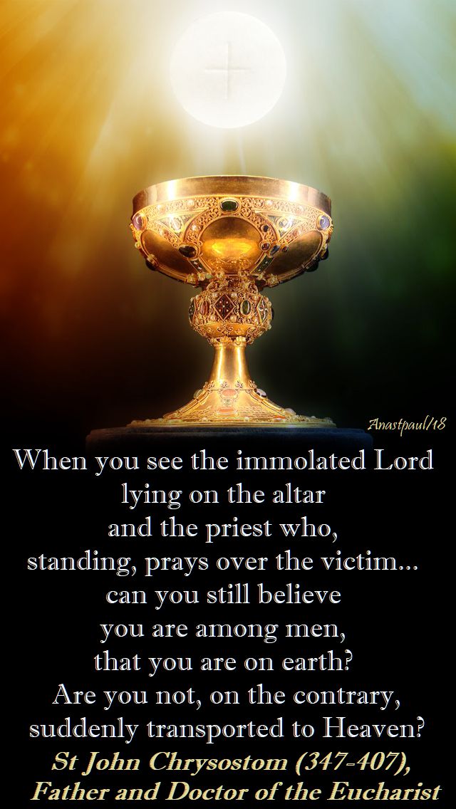 when you see the immolated lord - st john chrysostom - sunday reflection - 16 sept 2018 24th ord time year b