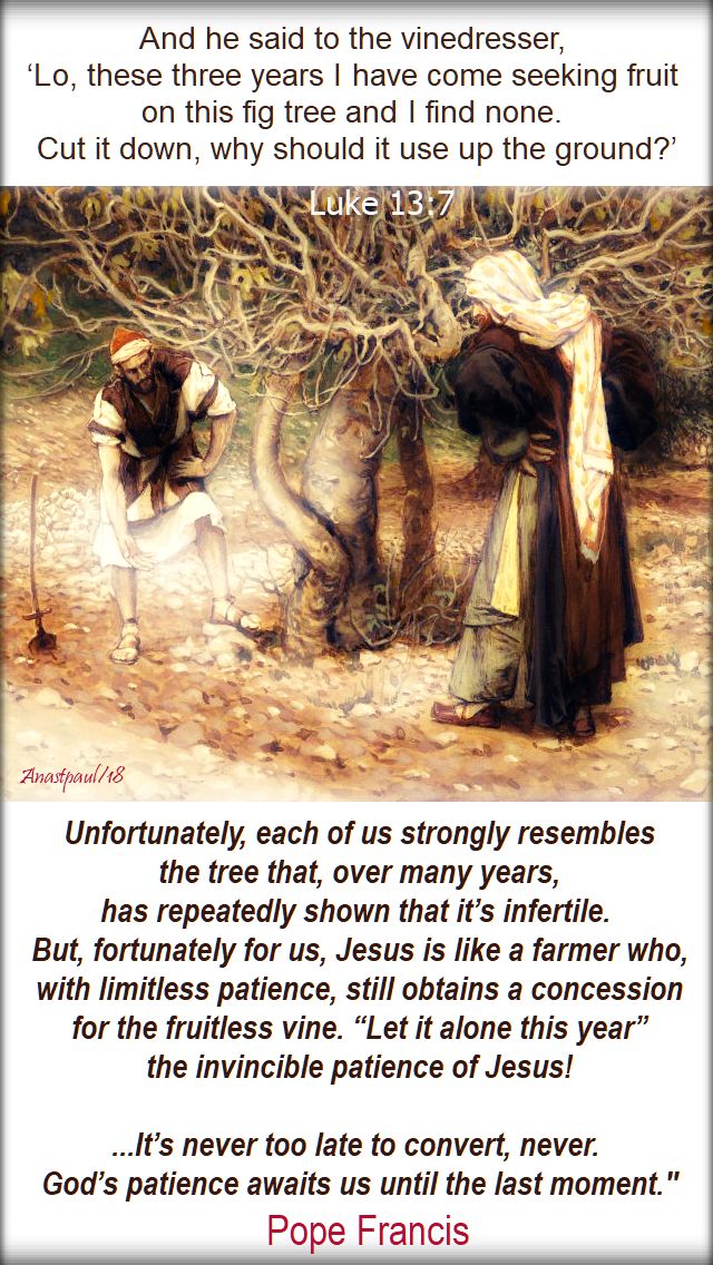 luke 13 7 - and he said to the vinedresser - unfortunately each of us strongly resembles the tree - pope francis 27 oct 2018