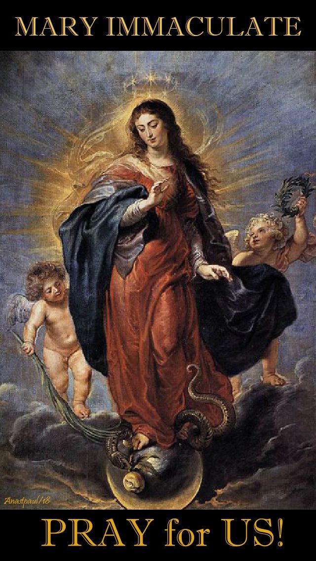 mary immaculate - pray for us - 4 mary 2018