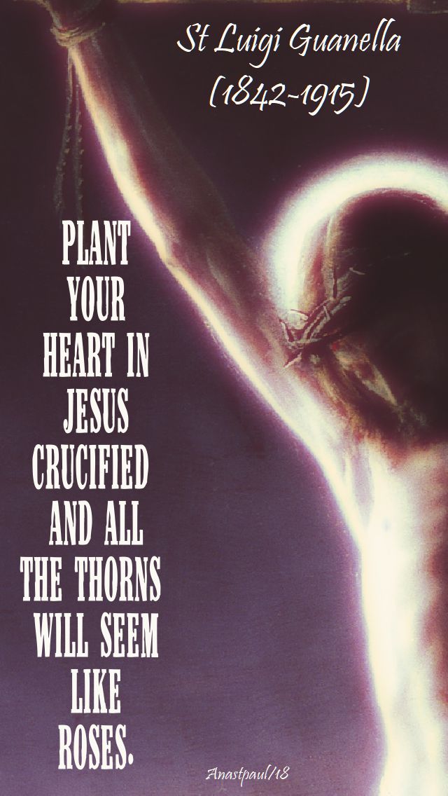 plant your heart in jesus crucified - st luigi guanella - 24 oct 2018
