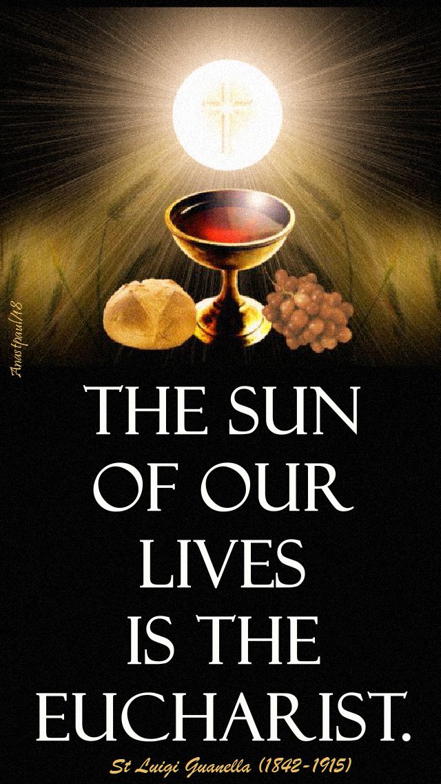 the sun of our lives - st luigi guanella - 24 oct 2018