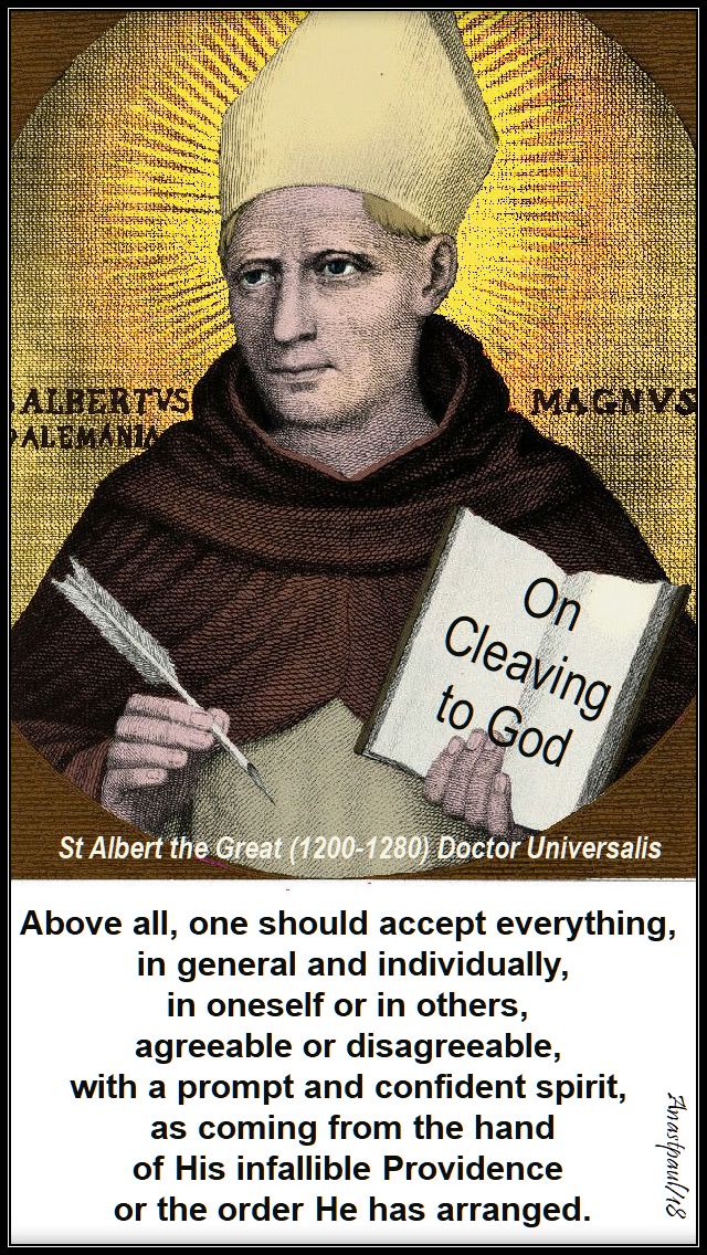 above all, one should accept - st albert the great - 15 nov 2018