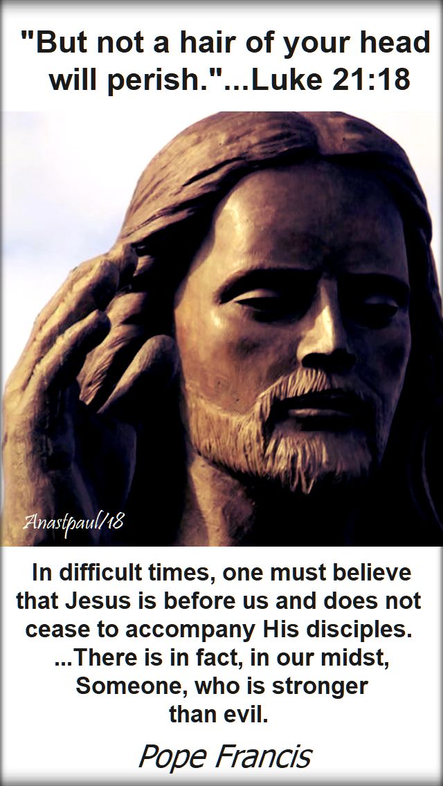 but not a hair of your head - luke 21 18-in difficult times - pope fancis 28 nov 2018