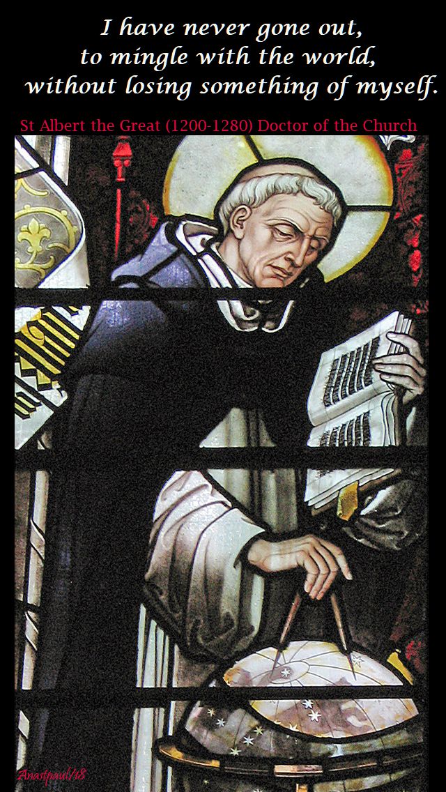 i have never gone out to mingle - st albert the great - 15 nov 2018