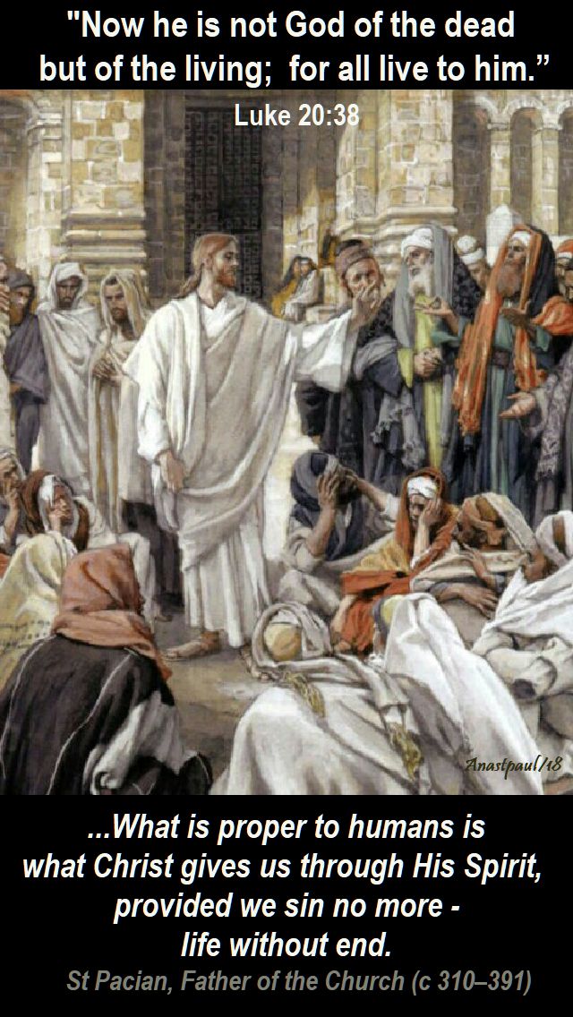 luke 20 38 - he is not god of the dead - what is proper to humans - st pacian - 24 nov 2018