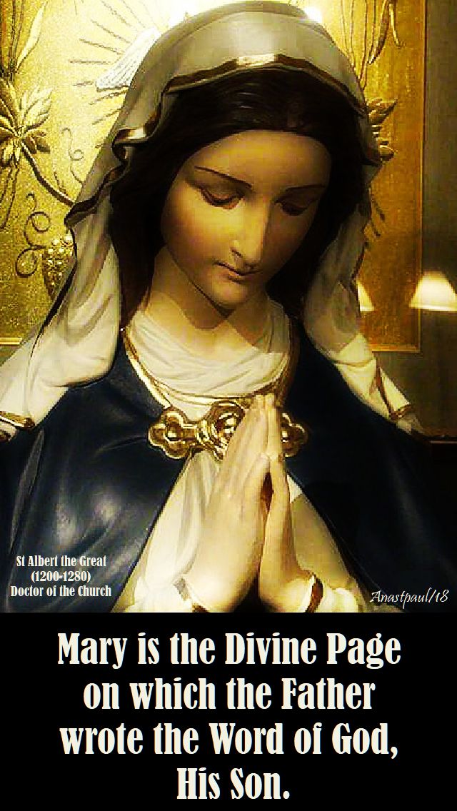 mary is the divine page - st albert the great - 15 nov 2018