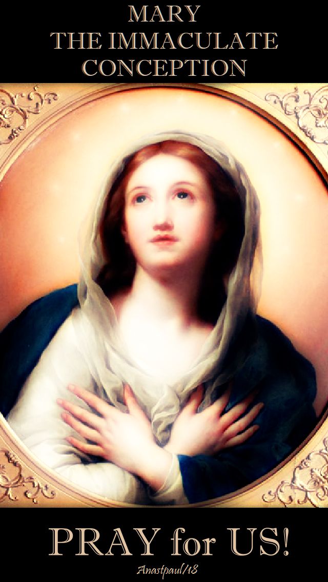 mary the imm conception pray for us - 28 nov 2018