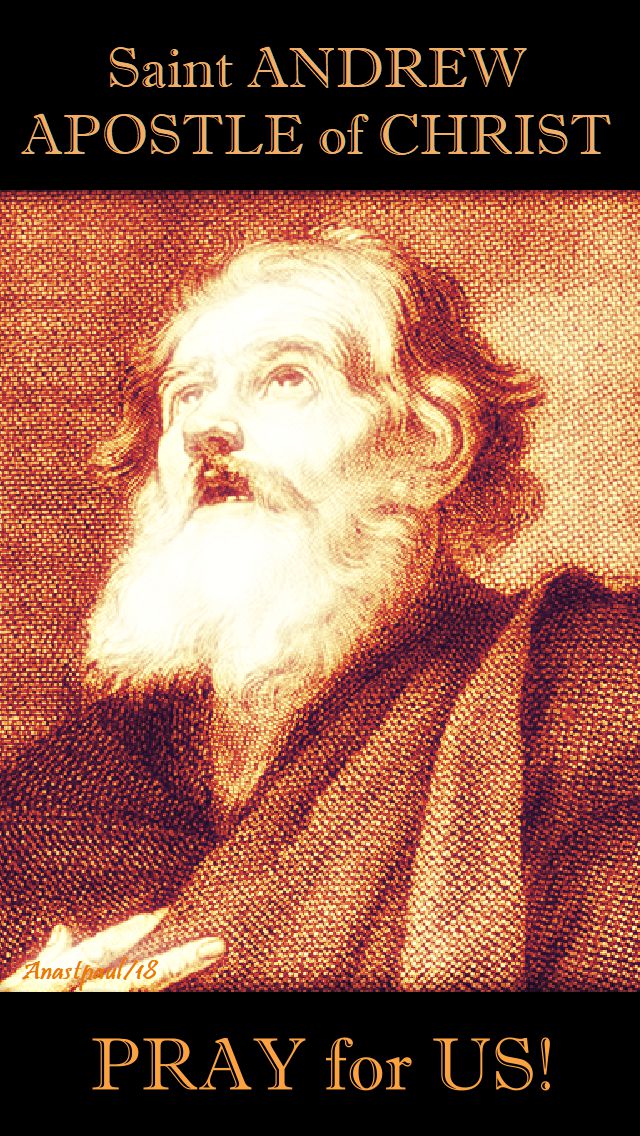 st andrew apostle pray for us-30nov2018