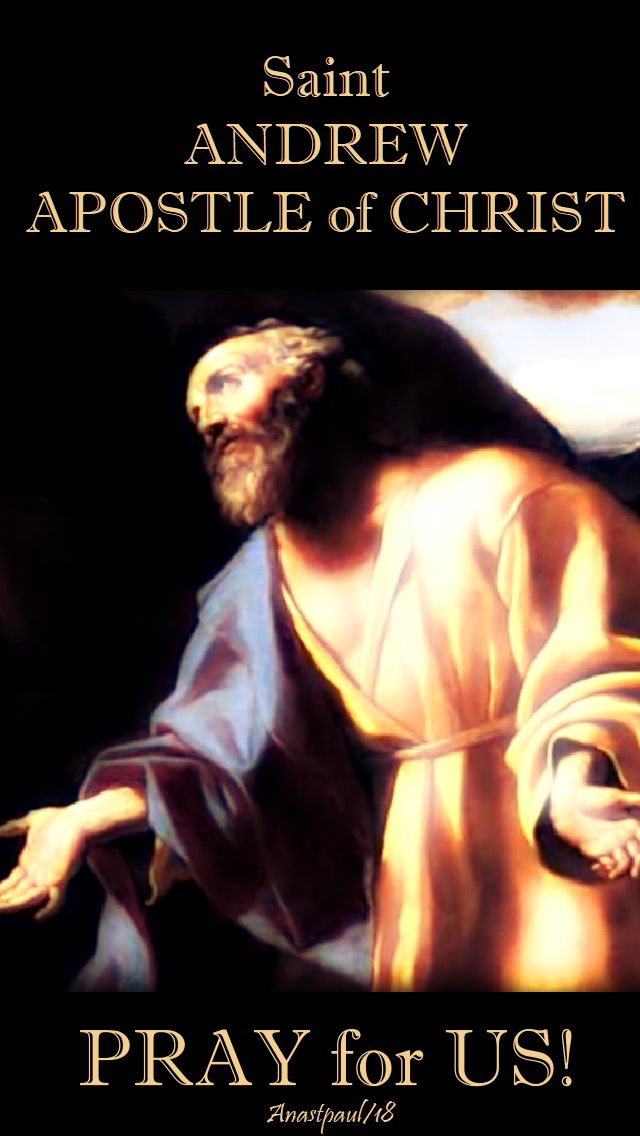 st andrew pray for us - 30nov2018
