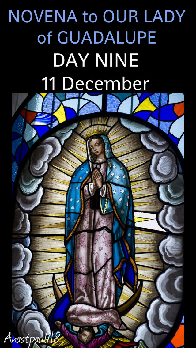 day nine - novena our lady of guadalupe 11 dec 2018
