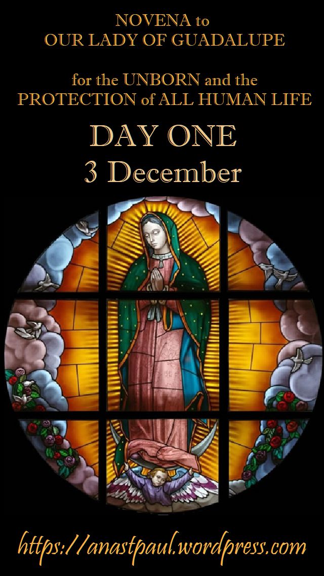 DAY ONE - NOVENA OUR LADY OF GUADALUPE FOR THE UNBORN HUMAN LIFE 3dec2018