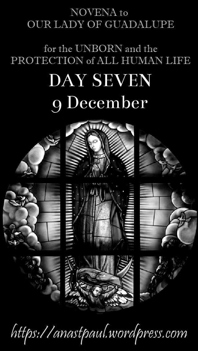 day seven NOVENA OUR LADY OF GUADALUPE FOR THE UNBORN HUMAN LIFE 9dec2018