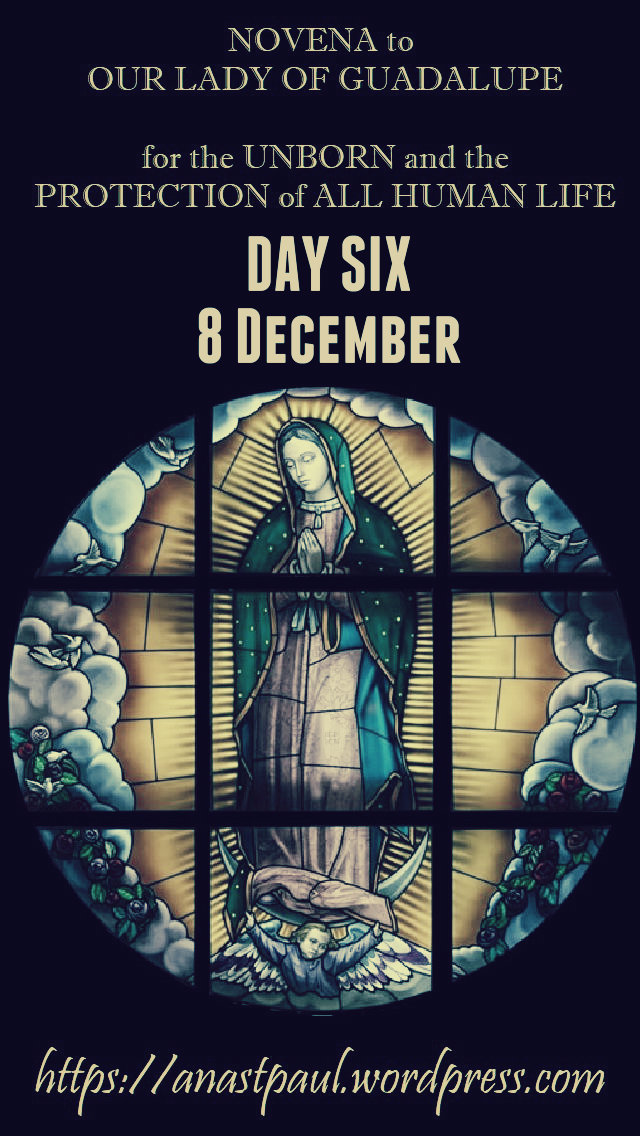 day six NOVENA OUR LADY OF GUADALUPE FOR THE UNBORN HUMAN LIFE 8dec2018