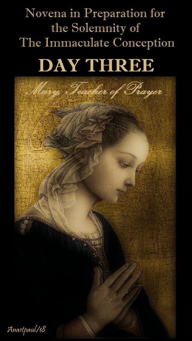 DAY THREE - IMM CONCEPTION NOVENA - MARY TEACHER OF PRAYER