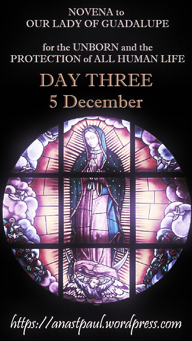DAY THREE - NOVENA OUR LADY OF GUADALUPE FOR THE UNBORN HUMAN LIFE 5dec2018