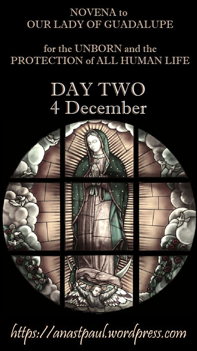 DAY TWO - NOVENA OUR LADY OF GUADALUPE FOR THE UNBORN HUMAN LIFE 4dec2018.jpg