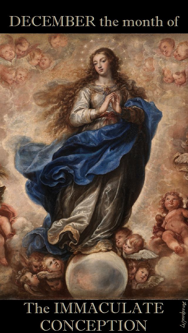 december-the-month-of-the-immaculate-conception
