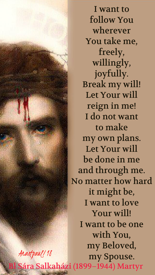 i want to follow you wherever you take me - bl sara salkahazi 27dec2018