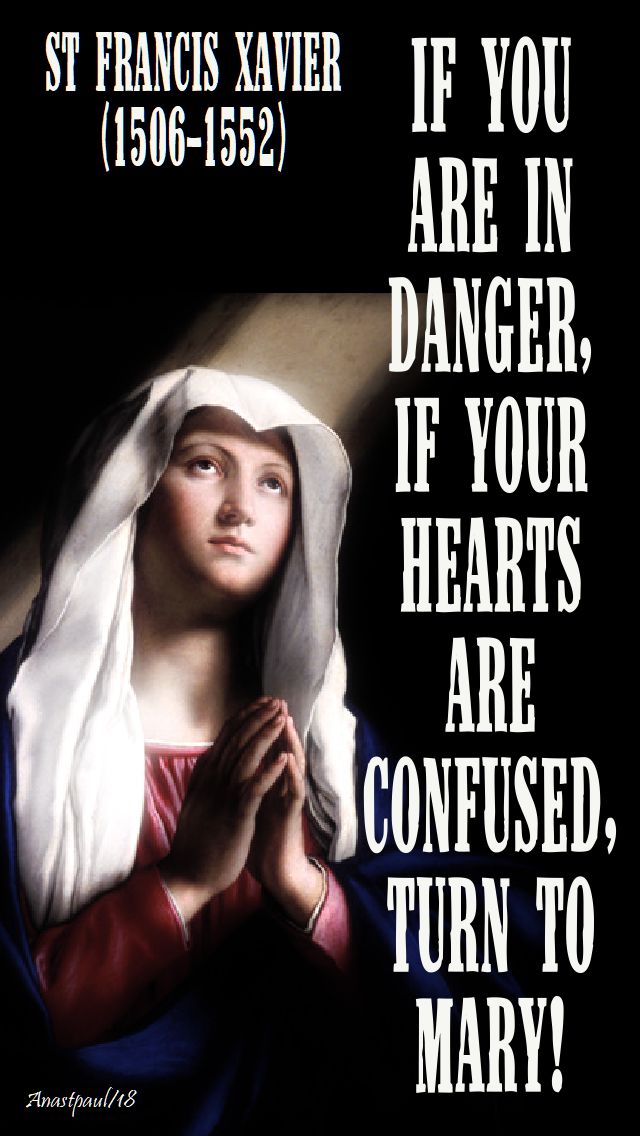 if you are in danger, if your hearts are confused, turn to mary - st francis xavier 3 dec2018