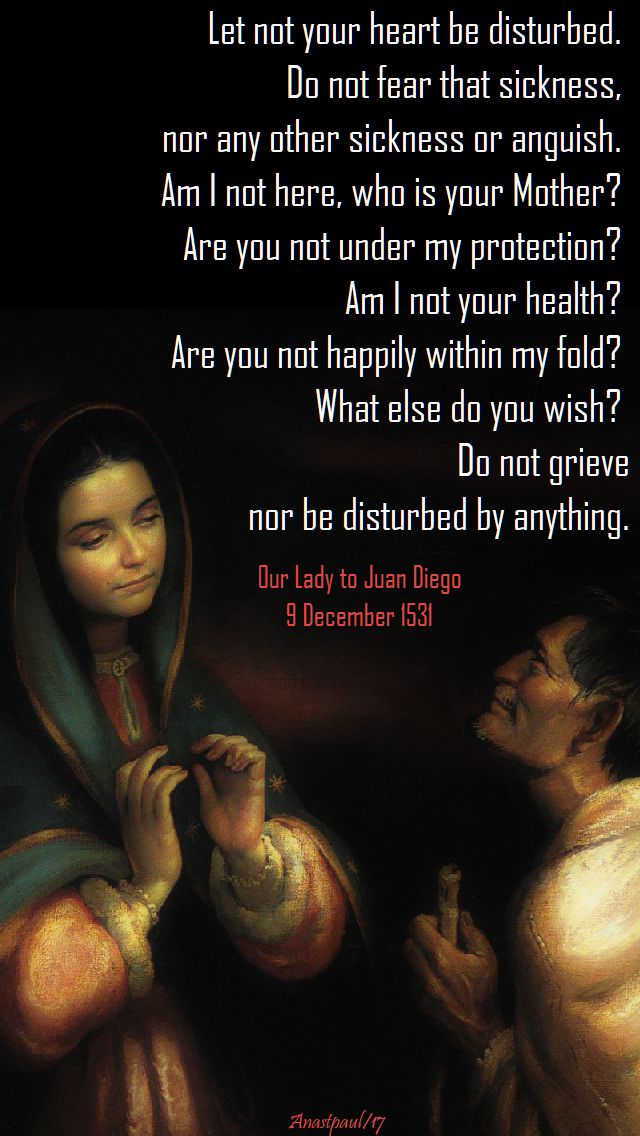 let-not-your-heart-be-disturbed-our-lady-guadalupe-9-dec-2017