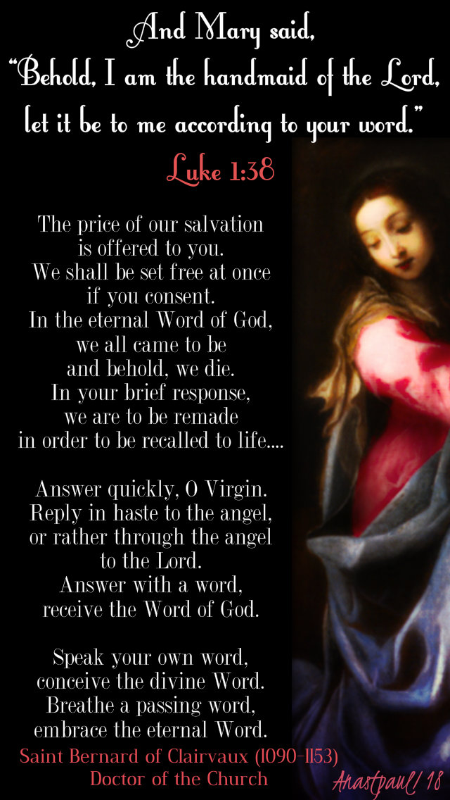 luke 1 38 and mary said behold - the price of our salvation - st bernard 20dec2018