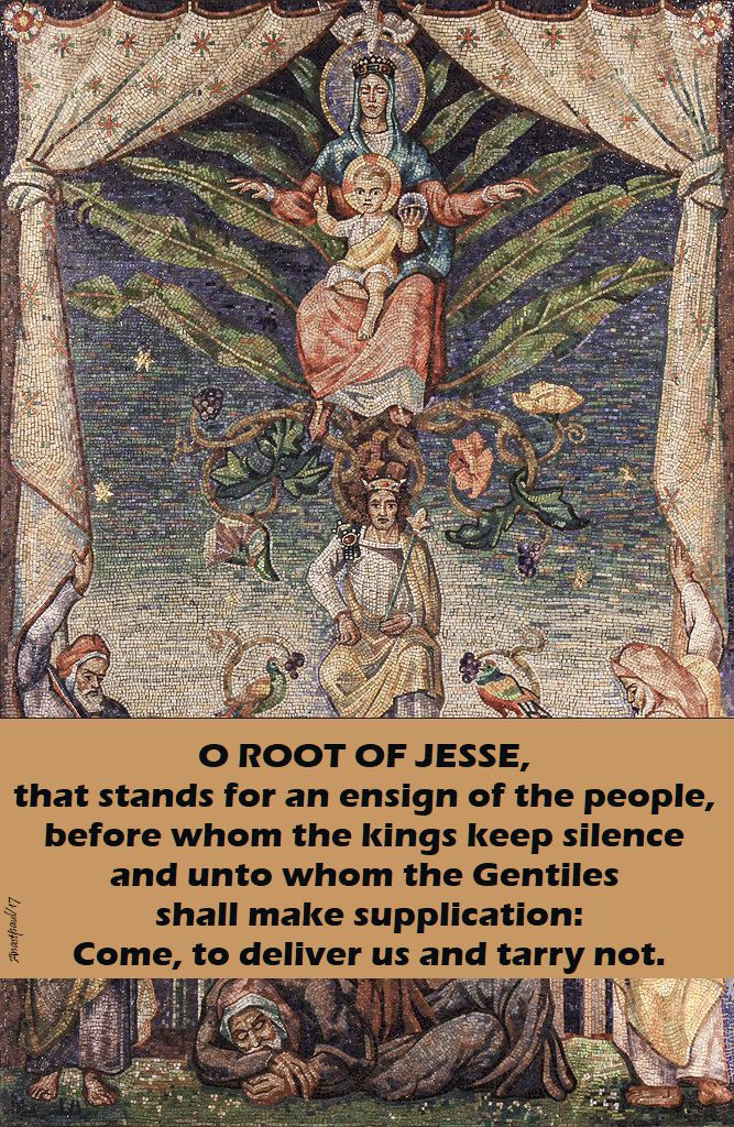 o-root-of-jesse-19-dec-2017