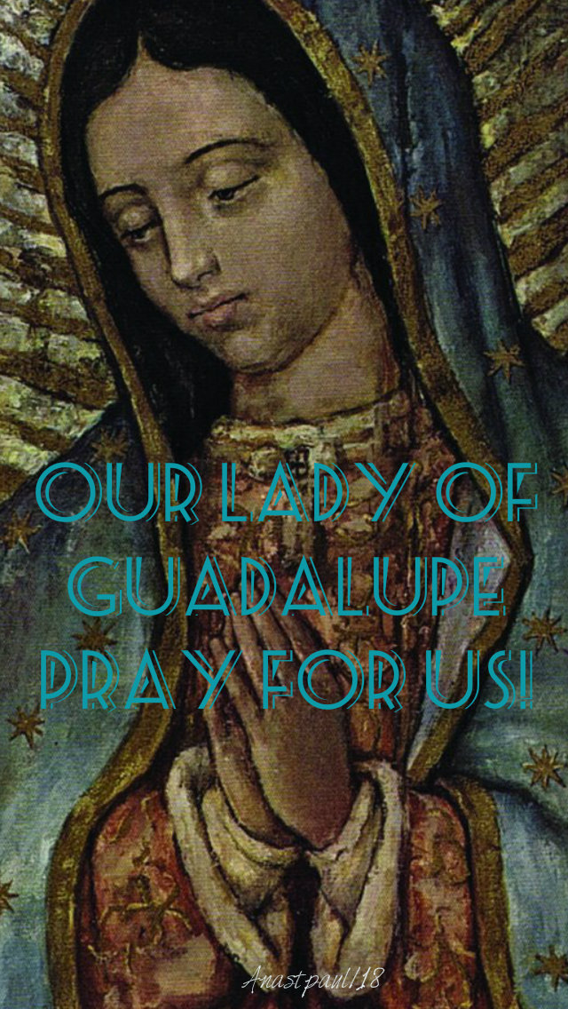 Our lady of guadalupe pray for us 12 dec 2018 no 3