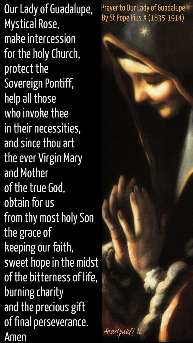 Prayer to our lady of guadalupe - by st pope pius X 12 dec 2018