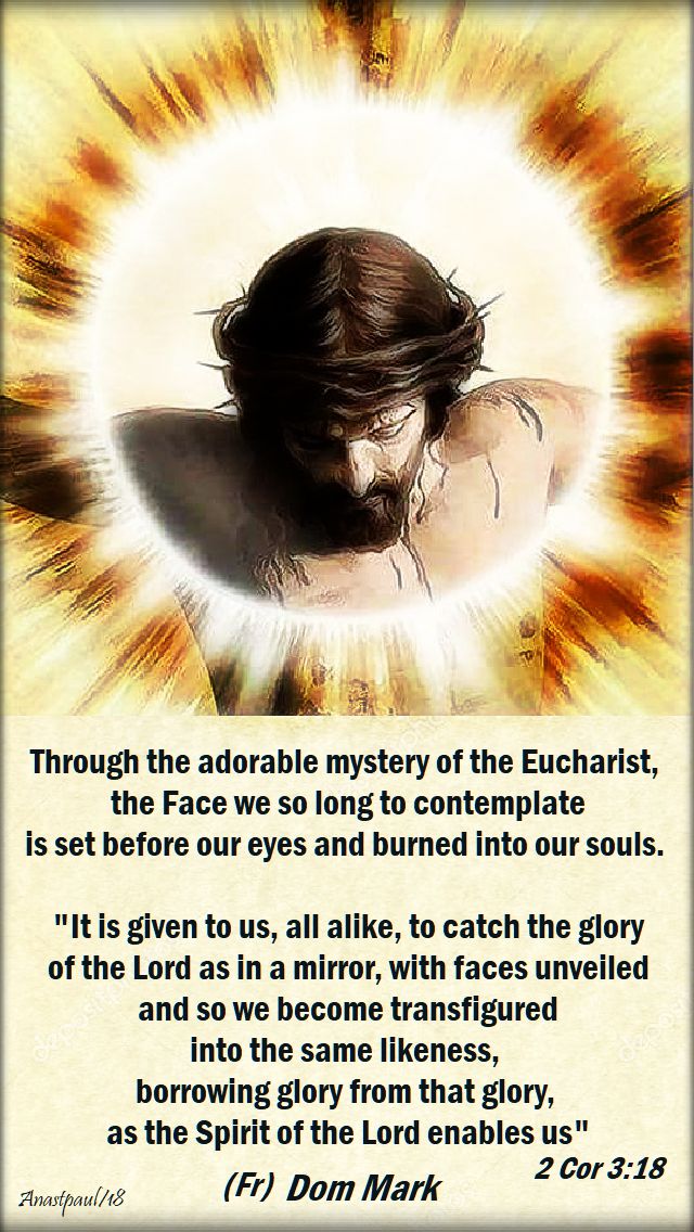 through the adorable mystery of the eucharist - dom mark vultus christi - sun reflection 2 dec 2018
