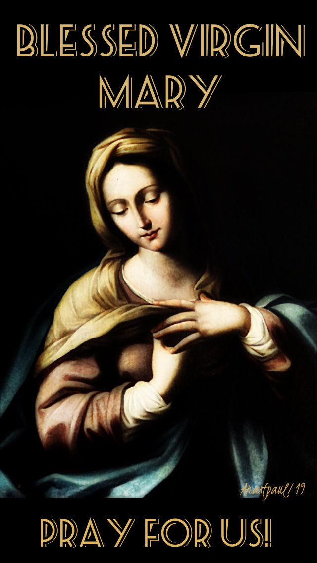 blessed virgin mary pray for us 17 jan 2019.jpg