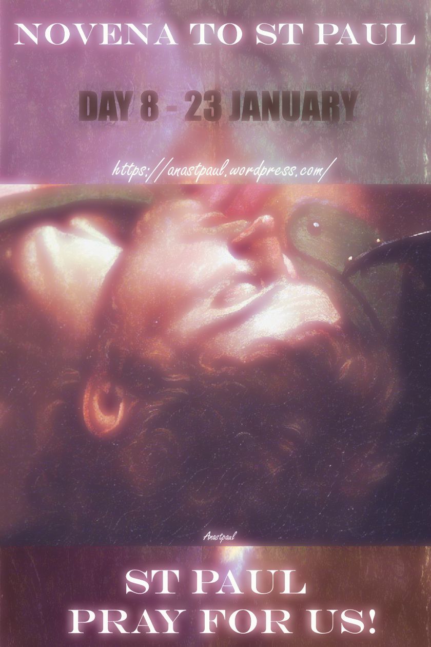 day-8-st-paul 23 jan 2018.jpg