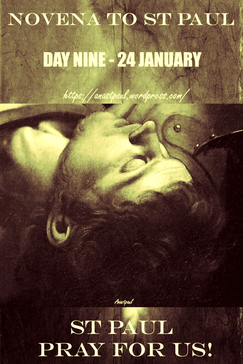 day-nine-st-paul-24 jan 2018.jpg