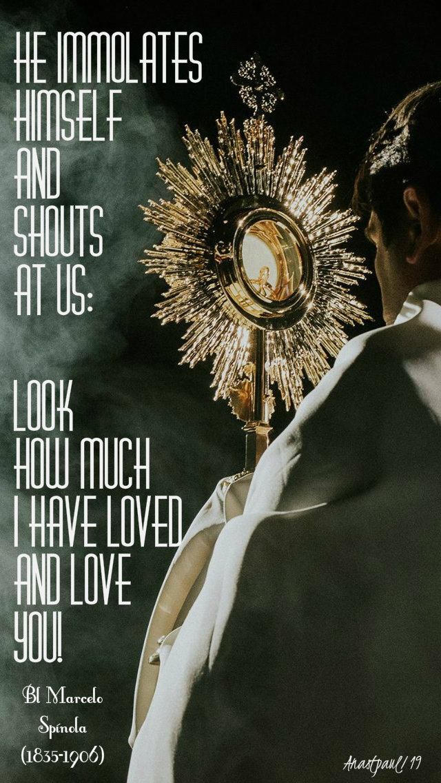 he immolates himself and shouts at us - bl marcelo spinola 19jan2019.jpg