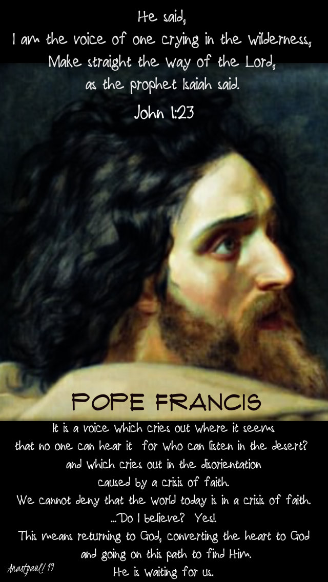 john 1 23 - i am the voice crying in the wilderness - it is a voice - pope francis 2 jan 2019