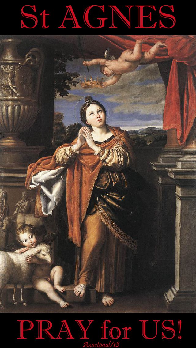 st-agnes-pray-for-us-21-jan-2018.jpg