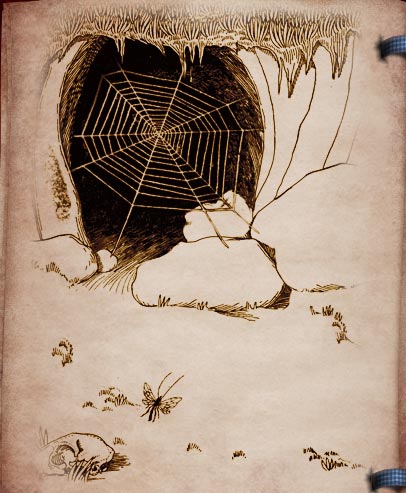 st feliz and the spider