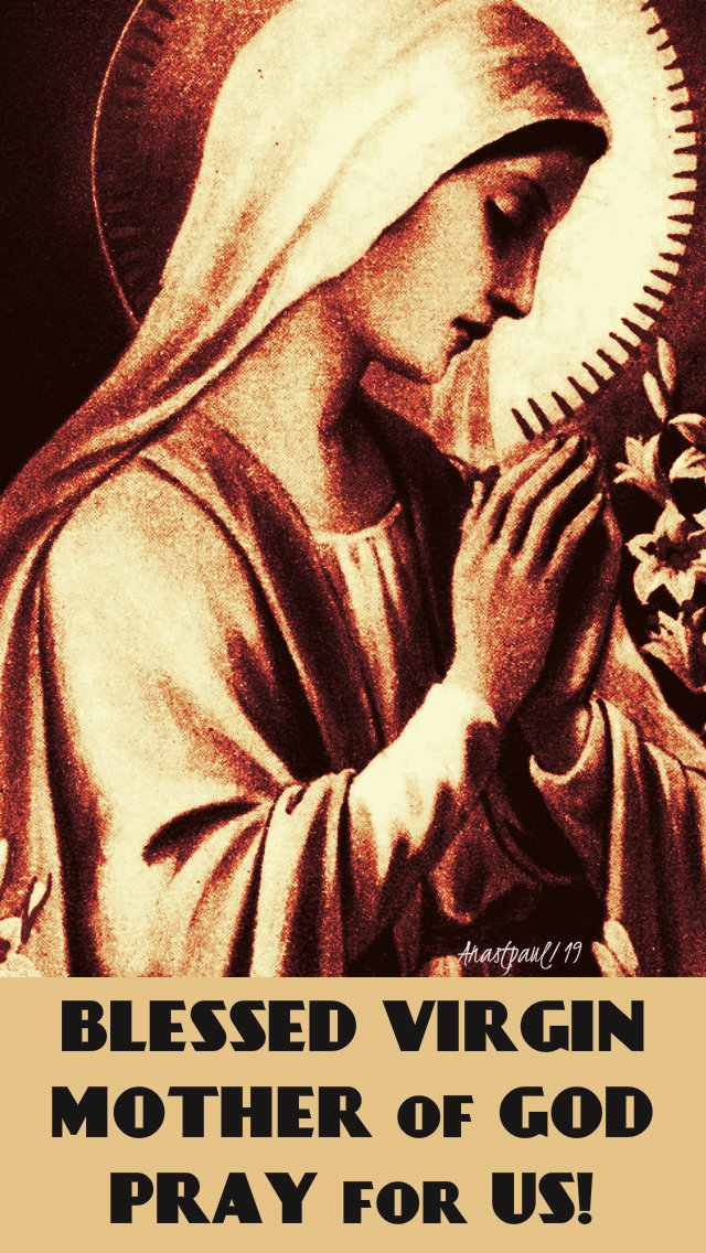blessed virgin mother of god pray for us 7 feb 2019.jpg