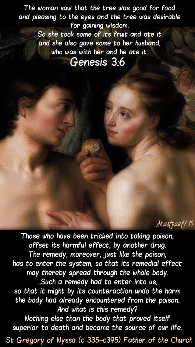 genesis 3 6 the woman saw that the fruit was good - those who have been tricked - st gregory of nyssa 15 feb 2019.jpg