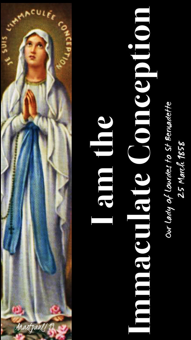 i am the imm conception 11 feb 2019.jpg