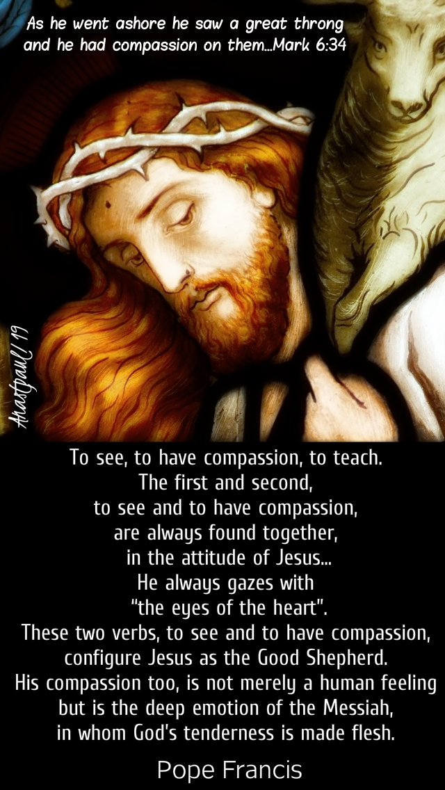 mark 6 34 - to see to have compassion to teach - pope francis 9 feb 2019.jpg