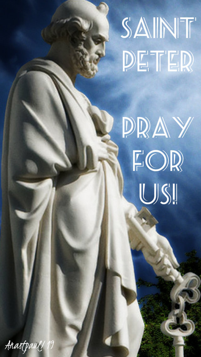 st peter pray for us 22 feb 2019.jpg